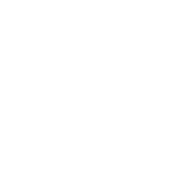 LionAndSteel